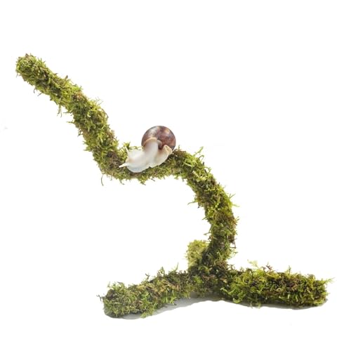 Begeterday Biegbares Haustierschnecken-Kletterspielzeug, ideales Schnecken-Terrarium-Zubehör, schön für Haustierschnecken, die gerne Klettern, 30,5 cm Begeterday Biegbares Haustierschnecken-Kletterspielzeug, ideales Schnecken-Terrarium-Zubehör, schön für Haustierschnecken, die gerne Klettern, 30,5 cm von Begeterday