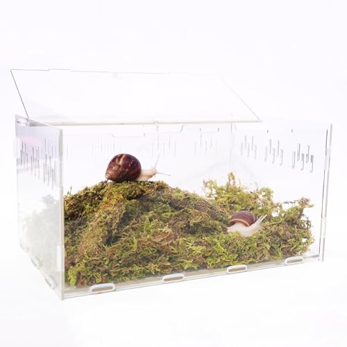 Begeterday Schneckentank-Bausatz, inklusive 28,5cm x 20cm x 15cm Schneckentank, 60g Moos, 23cm Kletterspielzeug Begeterday Schneckentank-Bausatz, inklusive 28,5cm x 20cm x 15cm Schneckentank, 60g Moos, 23cm Kletterspielzeug von Begeterday
