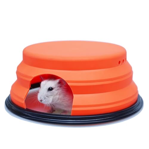 Begeterday Zusammenklappbares Hamster Versteck, Erkundungsspielzeug, Ideales Hamster Zubehör für Hamsterkäfige von Begeterday