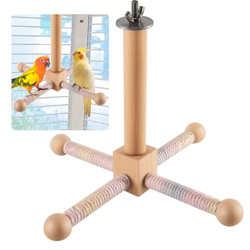 Vogelspielzeug 360° Drehbares Vogel Spielzeug, Hängende Spielzeug für Vogelkäfig, Wellensittich Zubehör, Interaktives Drehspielzeug aus Holz für Kleine Papageien, Mittlere Papageien, Sittiche, Vögel von Begonia