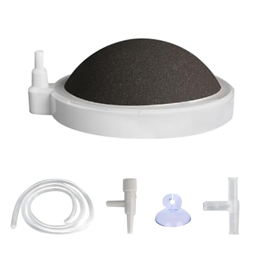 Begonia Aquarium Luftstein Ø 80mm, Sauerstoffstein für Aquarium, Nano Bubble Stone Disc, Ausströmerstein Aquarium mit 1M Schlauch, Steuerventil und Saugnapf, Aquarium Sauerstoffstein Felsen Begonia Aquarium Luftstein Ø 80mm, Sauerstoffstein für Aquarium, Nano Bubble Stone Disc, Ausströmerstein Aquarium mit 1M Schlauch, Steuerventil und Saugnapf, Aquarium Sauerstoffstein Felsen von Begonia