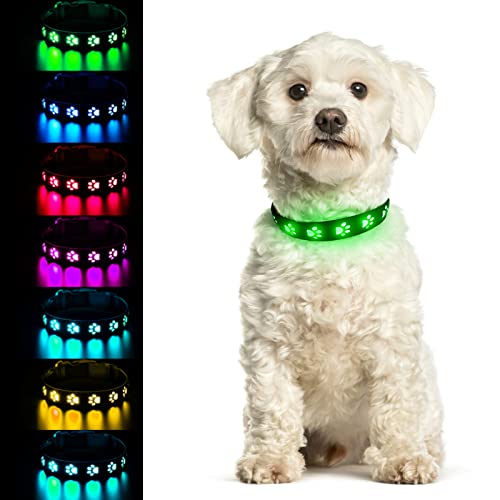 Begonia LED Hundehalsband Hundering LED beleuchtetes Halsband Leuchtendes Sicherheitshalsband verstellbares wasserdichtes Halsband 7 Farben geeignet für spazierengehende Hunde 15.7-19.7IN,M Begonia LED Hundehalsband Hundering LED beleuchtetes Halsband Leuchtendes Sicherheitshalsband verstellbares wasserdichtes Halsband 7 Farben geeignet für spazierengehende Hunde 15.7-19.7IN,M von Begonia