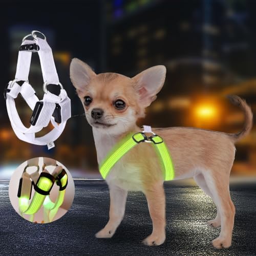 Hundegeschirr Leuchtend Aufladbar,LED Hundegeschirr Leuchtend für Hunde,3 Beleuchtungsmodi Leuchtgeschirr füR Hunde,Verstellbar für Hundegeschirr Licht FüR Sicherheit Beim Nachtgehen,S Hundegeschirr Leuchtend Aufladbar,LED Hundegeschirr Leuchtend für Hunde,3 Beleuchtungsmodi Leuchtgeschirr füR Hunde,Verstellbar für Hundegeschirr Licht FüR Sicherheit Beim Nachtgehen,S von Begonia
