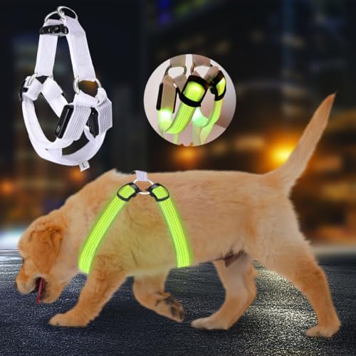 Hundegeschirr Leuchtend Aufladbar,LED Hundegeschirr Leuchtend für Hunde,3 Beleuchtungsmodi Leuchtgeschirr füR Hunde,Verstellbar für Hundegeschirr Licht FüR Sicherheit Beim Nachtgehen Hundegeschirr Leuchtend Aufladbar,LED Hundegeschirr Leuchtend für Hunde,3 Beleuchtungsmodi Leuchtgeschirr füR Hunde,Verstellbar für Hundegeschirr Licht FüR Sicherheit Beim Nachtgehen von Begonia