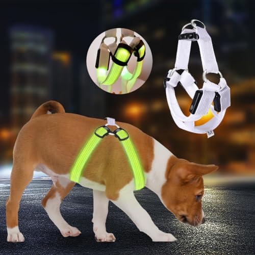 LED Hundegeschirr Leuchtend für Hunde,Hundegeschirr Leuchtend Aufladbar,3 Beleuchtungsmodi Leuchtgeschirr füR Hunde,Verstellbar für Hundegeschirr Licht FüR Sicherheit Beim Nachtgehen,M LED Hundegeschirr Leuchtend für Hunde,Hundegeschirr Leuchtend Aufladbar,3 Beleuchtungsmodi Leuchtgeschirr füR Hunde,Verstellbar für Hundegeschirr Licht FüR Sicherheit Beim Nachtgehen,M von Begonia