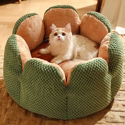 Plüsch-Katzenbett in Kaktusblütenform, waschbar, beruhigend und niedliches Sofa für kleine Hunde und Katzen von Begonial