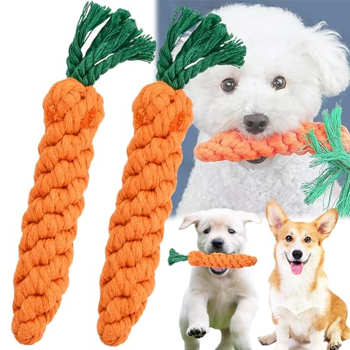 Begpoee 2 Stück Karotte Hundespielzeug, Hundespielzeug Seil Baumwolle, Hundekauspielzeug, Zahnreinigungsspielzeug, Interaktives Kauspielzeug Spielzeug, 21,5 x 3,5 cm, Für Kleine Mittelgroßen Hund Begpoee 2 Stück Karotte Hundespielzeug, Hundespielzeug Seil Baumwolle, Hundekauspielzeug, Zahnreinigungsspielzeug, Interaktives Kauspielzeug Spielzeug, 21,5 x 3,5 cm, Für Kleine Mittelgroßen Hund von Begpoee