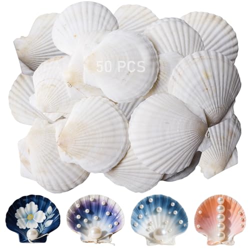 50 Stück Muscheln Natürliche Muschel, 6CM-8CM Jakobsmuschel, Jakobsmuscheln, Muschelschalen, kleine Muscheln für bemalen, DIY Handwerk, Dekoration Partys, Hochzeiten, Aquariumdekoration 50 Stück Muscheln Natürliche Muschel, 6CM-8CM Jakobsmuschel, Jakobsmuscheln, Muschelschalen, kleine Muscheln für bemalen, DIY Handwerk, Dekoration Partys, Hochzeiten, Aquariumdekoration von Behogan