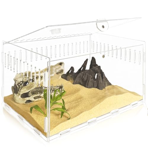 Acryl Terrarium, 30*20*15CM Reptilien Terrarium Tank, Transparente Reptilien Futterbox, Insekten Futterbox, Kriechender Haustier Reptilien Aufzuchtbox für gehörnte Frösche, Echse, Schlangen von Behogan