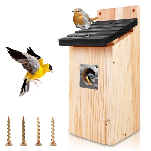 Behogan Hängender Nistkasten: 4.92 * 4.92 * 11.81inch Blaumeisen Nistkasten in Holzoptik mit Vogelhaus Nisthaus, Brutraum für Gartenvögel mit Aufhängeöse für Bäume & Gärten Behogan Hängender Nistkasten: 4.92 * 4.92 * 11.81inch Blaumeisen Nistkasten in Holzoptik mit Vogelhaus Nisthaus, Brutraum für Gartenvögel mit Aufhängeöse für Bäume & Gärten von Behogan