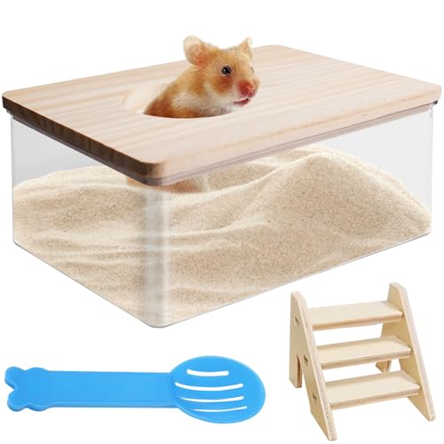 Behogan Hamster Badezimmer, Transparent Sandbad für Hamster, Sand-Badezimmer für Hamster mit Leiter und Schaufel, Hamster Leiter, sandbad Hamster für Hamster oder Kleine Haustiere(Quadrat) von Behogan