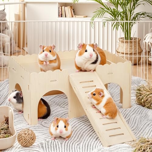 Groß Meerschweinchen Haus mit Rampe, Hamster Versteck Käfig Dekor Zubehör, Meerschweinchen Zubehoer, Hamster Haus, Holz-Kletterspielzeug für Rennmäuse, Stachelmäuse, Zwerghamster, 38 x 24 x 18 cm Groß Meerschweinchen Haus mit Rampe, Hamster Versteck Käfig Dekor Zubehör, Meerschweinchen Zubehoer, Hamster Haus, Holz-Kletterspielzeug für Rennmäuse, Stachelmäuse, Zwerghamster, 38 x 24 x 18 cm von Behogan