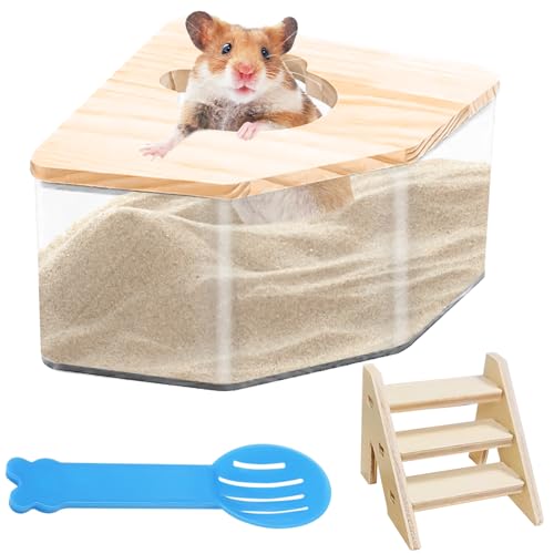 Hamster Badezimmer, Transparent Sandbad für Hamster, Sand-Badezimmer für Hamster mit Leiter und Schaufel, Hamster Sandbad Box, Sandbad Hamster für Für Mäuse, Lemminge, Rennmäuse (Pentagon) von Behogan