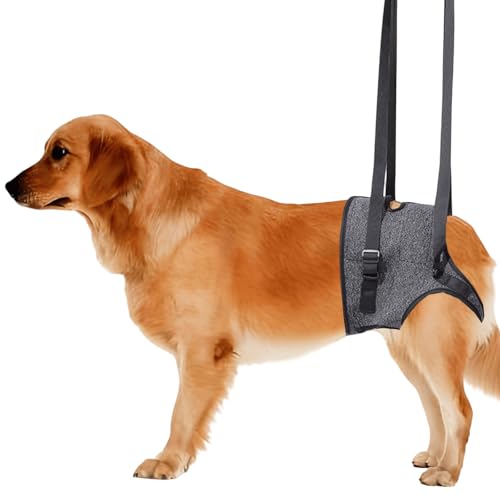 Hundehebegeschirr, Weiche Hunde Tragehilfe, Verstellbare Gehhilfe, Hundestützgeschirr für die Hinterbeine, Hundetragegurt, Sicherheitsunterstützung für behinderte, verletzte oder ältere Hunde(XL) von Behogan