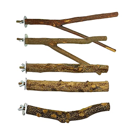Beimus 5pcs Vogelstille Naturholz Stand Vogel Käfig Schleifklauenstangen Spielzeug Für Kakadin von Beimus