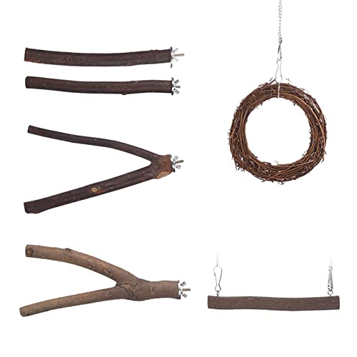 6 Pack Natürliches Holz Barsch Papagei Vogel Stehbar Kreis Schwung Nagelpflegespielzeug Für Kleine Mittelgroße Vögel 6 Pack Natürliches Holz Barsch Papagei Vogel Stehbar Kreis Schwung Nagelpflegespielzeug Für Kleine Mittelgroße Vögel von Beimus