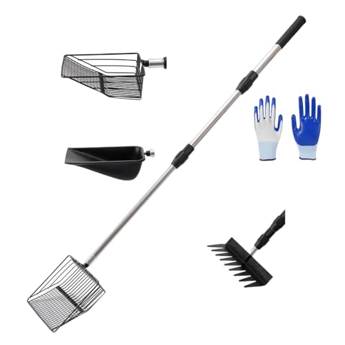 Beimus Großes Werkzeug zur Entfernung von Geflügelabfällen, Edelstahl, Hühnermist, Schaufel, einfache Reinigung für Ställe, Gartenpflege, Edelstahl, Hühnermist, Schaufel Beimus Großes Werkzeug zur Entfernung von Geflügelabfällen, Edelstahl, Hühnermist, Schaufel, einfache Reinigung für Ställe, Gartenpflege, Edelstahl, Hühnermist, Schaufel von Beimus