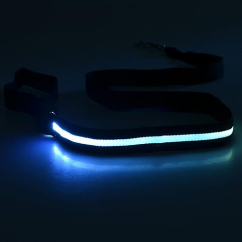 Beimus LED-Hundeleine, wiederaufladbar, wasserdicht, Nylon, mit gepolstertem Griff, für nächtliche Spaziergänge, leuchtet im Dunkeln, 4 Stück Beimus LED-Hundeleine, wiederaufladbar, wasserdicht, Nylon, mit gepolstertem Griff, für nächtliche Spaziergänge, leuchtet im Dunkeln, 4 Stück von Beimus