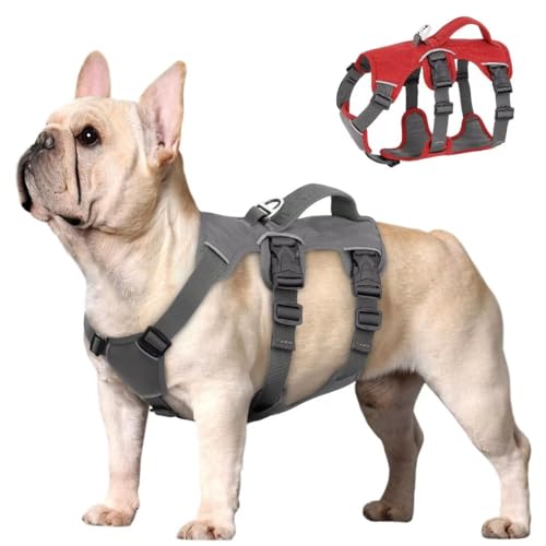 Beirui Ausbruchsicheres Hundegeschirr für kleine, mittelgroße Hunde, reflektierendes Hundegeschirr, kein Ziehen, mit gepolstertem Griff, Training (grau, Brustumfang 30.5–50.8 cm) von Beirui