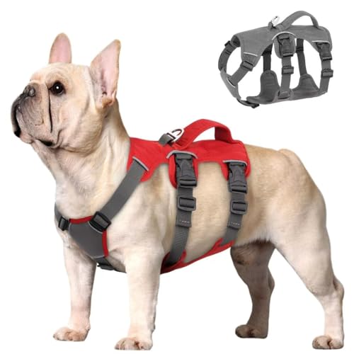 Beirui Ausbruchsicheres Hundegeschirr für kleine, mittelgroße Hunde, reflektierendes Hundegeschirr, kein Ziehen, mit gepolstertem Griff, Training (rot, Brustumfang 25.4–40.6 cm) von Beirui