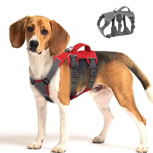 Beirui Ausbruchsicheres Hundegeschirr für Kleine, Mittelgroße und Große Hunde - Reflektierend, Kein Ziehen, Mit Gepolstertem Griff, Wasserdicht für Tägliches Training von Beirui