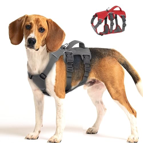 Beirui Ausbruchsicheres Hundegeschirr für Mittelgroße Hunde - Reflektierend, Kein Ziehen, Gepolsterter Griff, Wasserdicht für Tägliches Gehen-Training (Grau) von Beirui