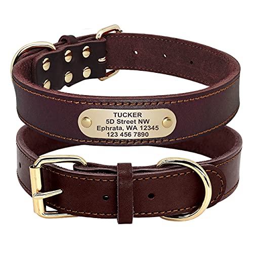 Beirui Beeren-echtes Leder personalisierte Hundehalsbänder mit Namensschild ID-Tags - benutzerdefinierte Hundehalsbänder graviert für mittelgroße und große Hunde,reichbraun,L(Neck 19.5-25.5") von Beirui