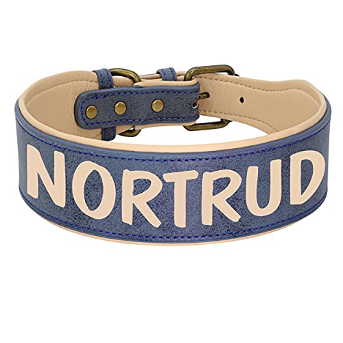 Beirui Custom Heavy Duty Large Hundehalsband - Personalisiertes Leder Hundehalsband mit starker, langlebiger Hardware - Weich gepolstertes Hundehalsband für mittelgroße und große Hunde (Blau,2XL) von Beirui