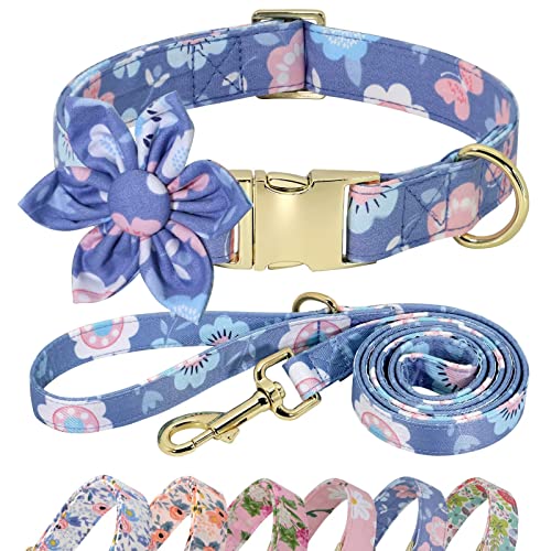 Beirui Cute Girl Hundehalsband und Leine, Set für Hündinnen, Blumenmuster mit Blume, für kleine, mittelgroße und große Hunde, Welpen, XS, Halsumfang 20,3–30,5 cm, Leine, 1,5 m, Violett 1 Beirui Cute Girl Hundehalsband und Leine, Set für Hündinnen, Blumenmuster mit Blume, für kleine, mittelgroße und große Hunde, Welpen, XS, Halsumfang 20,3–30,5 cm, Leine, 1,5 m, Violett 1 von Beirui