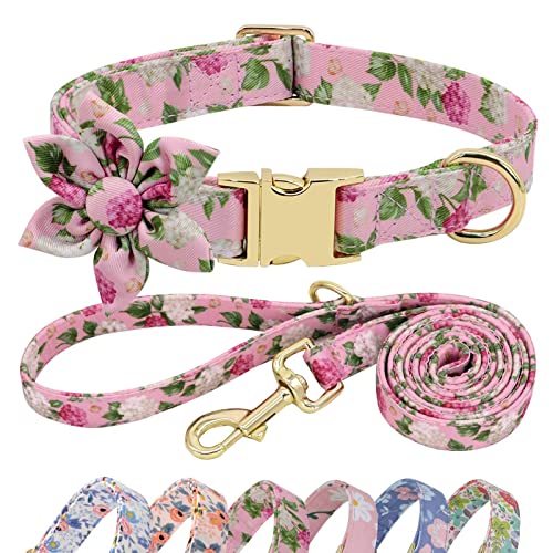 Beirui Cute Girl Hundehalsband und Leine, Set für Hündinnen, Hundehalsband mit Blume, für kleine, mittelgroße und große Hunde, Welpen, M: Halsumfang 33 - 53,3 cm, Leine, 1,5 m, Rosa - 1 Beirui Cute Girl Hundehalsband und Leine, Set für Hündinnen, Hundehalsband mit Blume, für kleine, mittelgroße und große Hunde, Welpen, M: Halsumfang 33 - 53,3 cm, Leine, 1,5 m, Rosa - 1 von Beirui