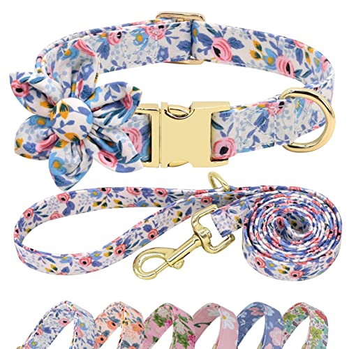 Beirui Cute Girl Hundehalsband und Leine, Set für Hündinnen, Hundehalsband mit Blumen, für kleine, mittelgroße und große Hunde, Welpen, Größe L: Halsumfang 38,1–61 cm, Leine, 1,5 m, Blau 1 Beirui Cute Girl Hundehalsband und Leine, Set für Hündinnen, Hundehalsband mit Blumen, für kleine, mittelgroße und große Hunde, Welpen, Größe L: Halsumfang 38,1–61 cm, Leine, 1,5 m, Blau 1 von Beirui