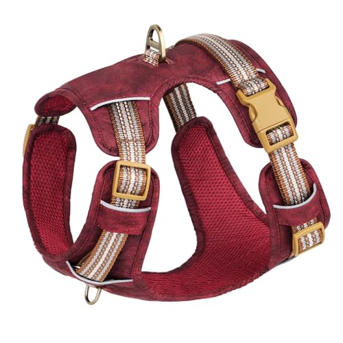 Beirui Hundegeschirr, mittelgroße Hunde, stilvolles Oxford-Leder, Haustierweste mit 2 Leinenclips, verstellbar, reflektierend, weich gepolstert, kein Ziehen, leicht zu kontrollierender Griff, für Beirui Hundegeschirr, mittelgroße Hunde, stilvolles Oxford-Leder, Haustierweste mit 2 Leinenclips, verstellbar, reflektierend, weich gepolstert, kein Ziehen, leicht zu kontrollierender Griff, für von Beirui