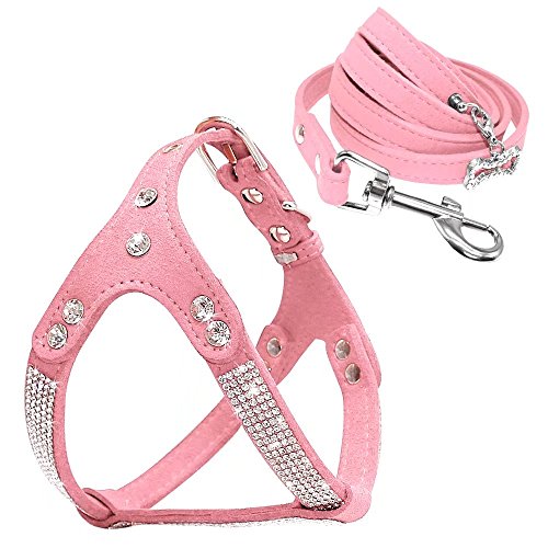 Beirui Hundegeschirr und Leine, weiches Wildleder, mit Strasssteinen, glitzernde Kristallweste und 1,2 m Leine für kleine Hunde, Bulldogge, Schnauzer, Cocker, Rosa, Brustumfang für 35,6–43,2 cm Beirui Hundegeschirr und Leine, weiches Wildleder, mit Strasssteinen, glitzernde Kristallweste und 1,2 m Leine für kleine Hunde, Bulldogge, Schnauzer, Cocker, Rosa, Brustumfang für 35,6–43,2 cm von Beirui