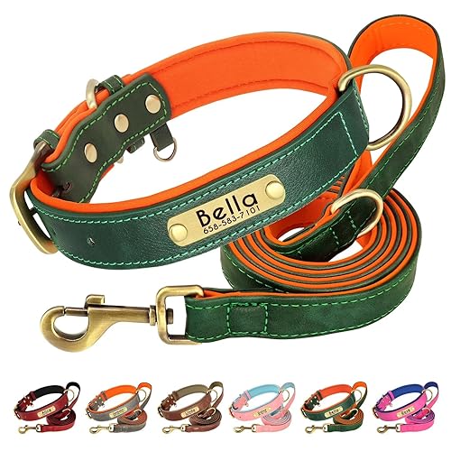 Beirui Hundehalsband aus echtem Leder, personalisierbar und Leine, individuell graviertes Namensschild, weich gepolstert, mit robusten Metallbeschlägen für kleine, mittelgroße und große Hunde (L, von Beirui