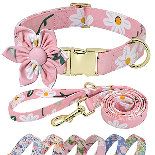 Beirui Hundehalsband und Leine, Set für Hündinnen, Hundehalsband mit Blumenmuster für kleine, mittelgroße und große Hunde, Welpen, Größe S: Halsumfang 25,4–40,6 cm, Leine, 1,5 m, Rosa 2 Beirui Hundehalsband und Leine, Set für Hündinnen, Hundehalsband mit Blumenmuster für kleine, mittelgroße und große Hunde, Welpen, Größe S: Halsumfang 25,4–40,6 cm, Leine, 1,5 m, Rosa 2 von Beirui