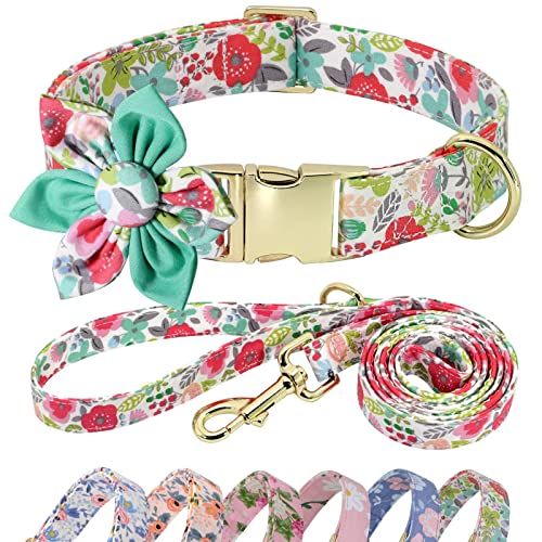 Beirui Hundehalsband und Leine, Set für Hündinnen, florales Hundehalsband mit Blume für kleine, mittelgroße und große Hunde, Welpen, M: Halsumfang 33–53,3 cm, Leine, 1,5 m, Grün – 1 Beirui Hundehalsband und Leine, Set für Hündinnen, florales Hundehalsband mit Blume für kleine, mittelgroße und große Hunde, Welpen, M: Halsumfang 33–53,3 cm, Leine, 1,5 m, Grün – 1 von Beirui