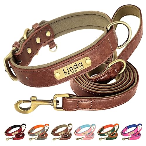Beirui Hundehalsband und Leine, aus weichem, gepolstertem Leder, verstellbar, mit langlebigen Metallbeschlägen, für kleine, mittelgroße und große Hunde (Braun, Halsumfang 22,9–33 cm) von Beirui