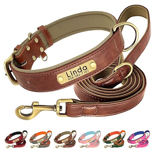 Beirui Hundehalsband aus echtem Leder, personalisierbar und mit Leine, individuell graviertes Namensschild, weich gepolstert, mit robusten Metallbeschlägen für kleine, mittelgroße und große Hunde (XL, von Beirui