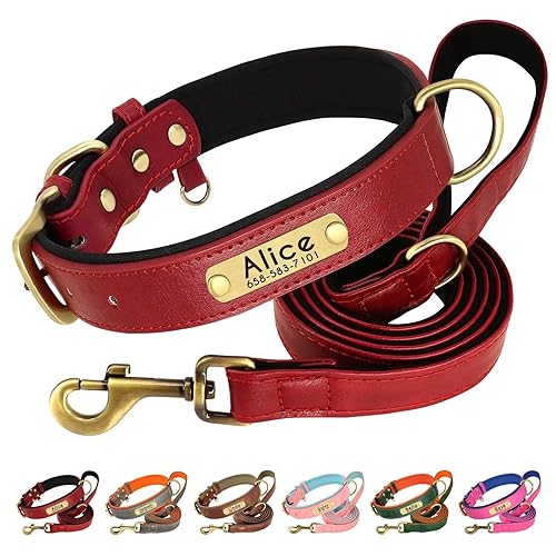 Beirui Hundehalsband und Leine, aus weichem, gepolstertem Leder, verstellbar, mit langlebigen Metallbeschlägen, für kleine, mittelgroße und große Hunde (Rot, Halsumfang 35,6–45,7 cm) von Beirui