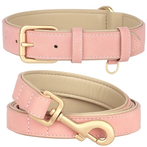 Beirui Hundehalsband und Leine, weich gepolstertes Leder-Set, robuste Hundeleine und Halsband, Set mit Metallschnalle, atmungsaktiv, mit 122 cm Langer Leder-Hundeleine für kleine, mittelgroße und von Beirui