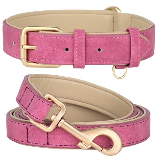Beirui Hundehalsband und Leine, weich gepolstertes Leder-Set, robuste Hundeleine und Halsband mit Metallschnalle, atmungsaktiv, mit 122 cm langer Leder-Hundeleine für mittelgroße Hunde (Rose, Beirui Hundehalsband und Leine, weich gepolstertes Leder-Set, robuste Hundeleine und Halsband mit Metallschnalle, atmungsaktiv, mit 122 cm langer Leder-Hundeleine für mittelgroße Hunde (Rose, von Beirui