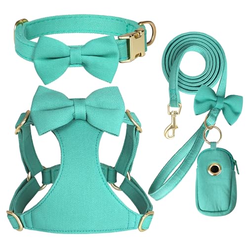 Beirui Niedliches extra kleines Hundegeschirr-Set mit drei abnehmbaren Schleifen, verstellbares Hundegeschirr, Halsband und Leine, Set mit sicherer Metallschnalle für den täglichen Spaziergang, Partys von Beirui