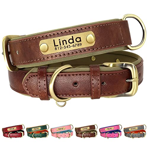 Beirui Personalisiertes, weich gepolstertes Leder-Hundehalsband –Robustes Hundehalsband mit langlebigen Metallbeschlägen für kleine, mittelgroße und große Hunde (braun, Halsumfang 22,9–33 cm) von Beirui