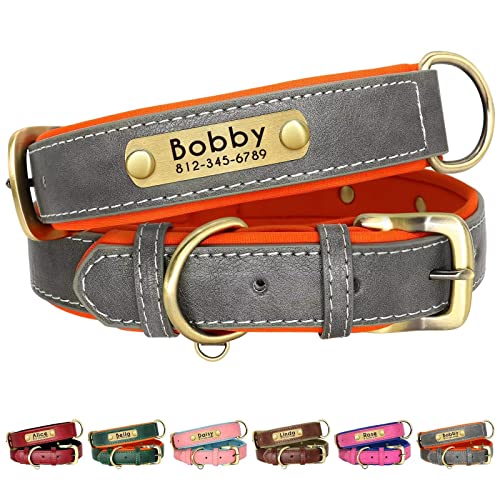 Beirui Personalisiertes, weich gepolstertes Leder-Hundehalsband –Robustes Hundehalsband mit langlebigen Metallbeschlägen für kleine, mittelgroße und große Hunde (grau, Halsumfang 43,2–55,9 cm) von Beirui