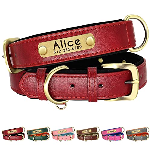 Beirui Personalisiertes, weich gepolstertes Leder-Hundehalsband–Robustes Hundehalsband mit langlebigen Metallbeschlägen für kleine, mittelgroße und große Hunde (rot, Halsumfang 22,9–33 cm) von Beirui