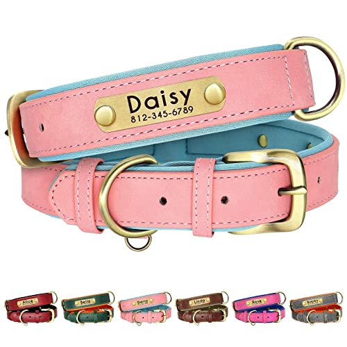 Beirui Personalisiertes, weich gepolstertes Leder-Hundehalsband – maßgeschneidertes, Robustes Hundehalsband mit langlebigen Metallbeschlägen – verstellbares Hundehalsband aus Leder Beirui Personalisiertes, weich gepolstertes Leder-Hundehalsband – maßgeschneidertes, Robustes Hundehalsband mit langlebigen Metallbeschlägen – verstellbares Hundehalsband aus Leder von Beirui