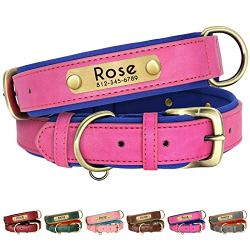 Beirui Personalisiertes weich Leder-Hundehalsband,Robustes Hundehalsband mit langlebigen Metallbeschlägen,Hundehalsband aus Leder für kleine,mittelgroße und große Hunde,Rosy,Halsumfang 43,2–55,9 cm Beirui Personalisiertes weich Leder-Hundehalsband,Robustes Hundehalsband mit langlebigen Metallbeschlägen,Hundehalsband aus Leder für kleine,mittelgroße und große Hunde,Rosy,Halsumfang 43,2–55,9 cm von Beirui