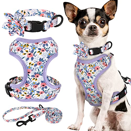 Beirui Set mit Halsbändern, Geschirre und Leinen, verstellbares Hundehalsband und Leine, Set mit Blume, weiches Netzgewebe, für Welpen, kleine und extra kleine Hunde, Katzen (Blau, Größe XXS Beirui Set mit Halsbändern, Geschirre und Leinen, verstellbares Hundehalsband und Leine, Set mit Blume, weiches Netzgewebe, für Welpen, kleine und extra kleine Hunde, Katzen (Blau, Größe XXS von Beirui