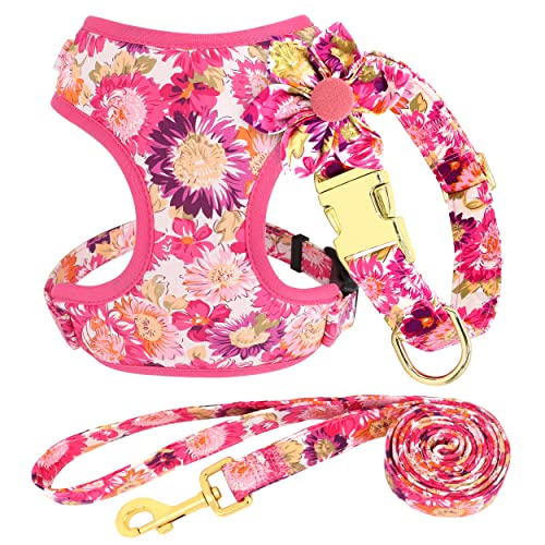 Beirui Set mit Halsbändern, Geschirre und Leinen für Mädchen, verstellbares Hundehalsband und Leine, Set mit Blume, weiches Netzgewebe, Hundegeschirr für Welpen, kleine, mittelgroße Hunde (Rosa-2, S) Beirui Set mit Halsbändern, Geschirre und Leinen für Mädchen, verstellbares Hundehalsband und Leine, Set mit Blume, weiches Netzgewebe, Hundegeschirr für Welpen, kleine, mittelgroße Hunde (Rosa-2, S) von Beirui