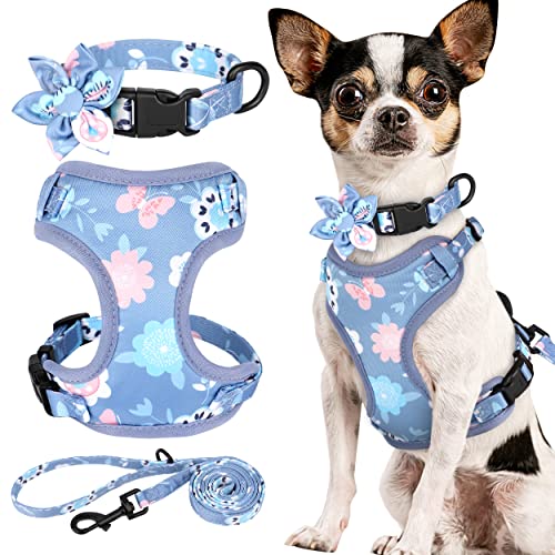 Beirui Set mit Halsbändern, Geschirre und Leinen für Mädchen, verstellbares Hundehalsband und Leine, Set mit Blume, weiches Netzgewebe, für Welpen, kleine und extra kleine Hunde, Katzen (Lila, Größe Beirui Set mit Halsbändern, Geschirre und Leinen für Mädchen, verstellbares Hundehalsband und Leine, Set mit Blume, weiches Netzgewebe, für Welpen, kleine und extra kleine Hunde, Katzen (Lila, Größe von Beirui